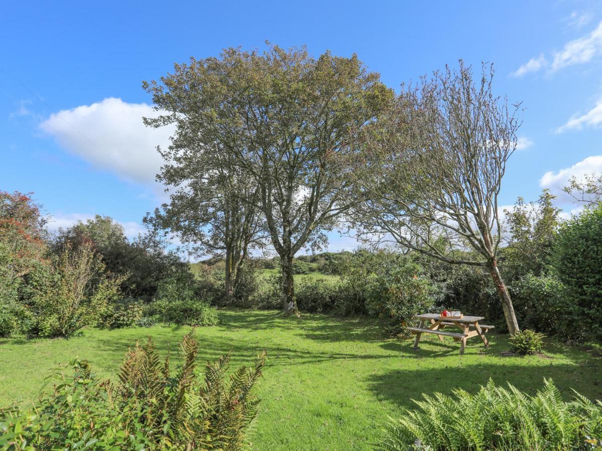 Ffrwd Cottage Bodorgan Dış mekan fotoğraf